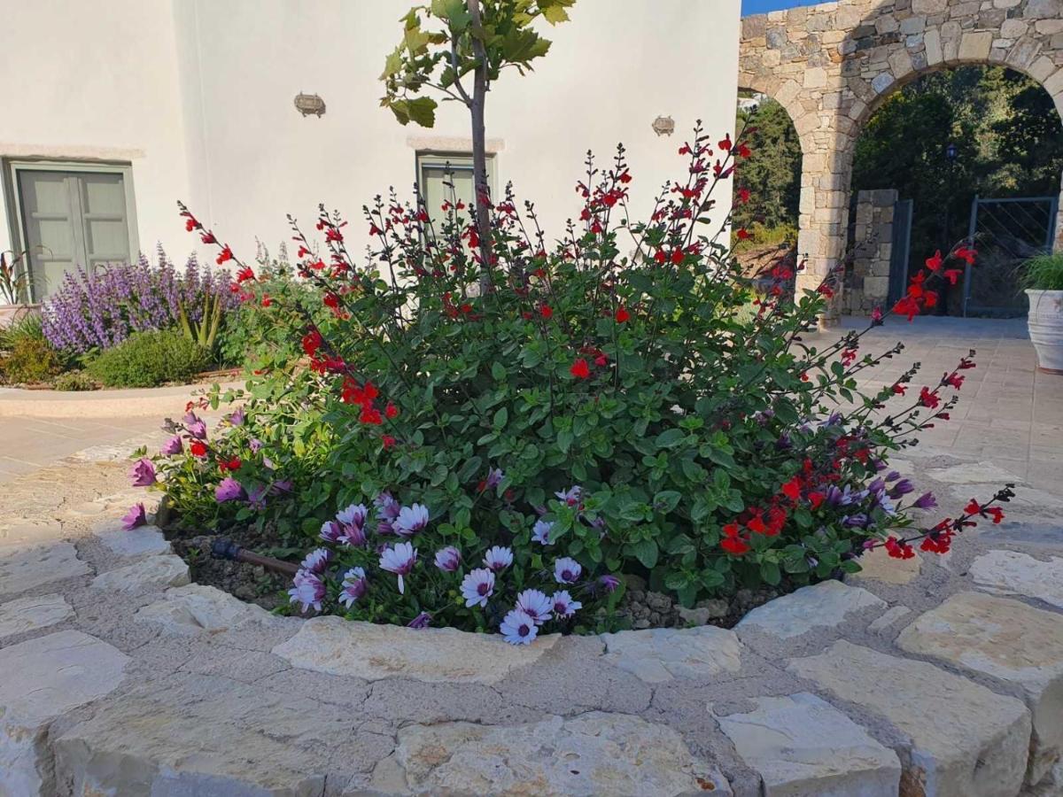 Agios Dimitrios  Anamnezia Luxury Suites (Adults Only) מראה חיצוני תמונה